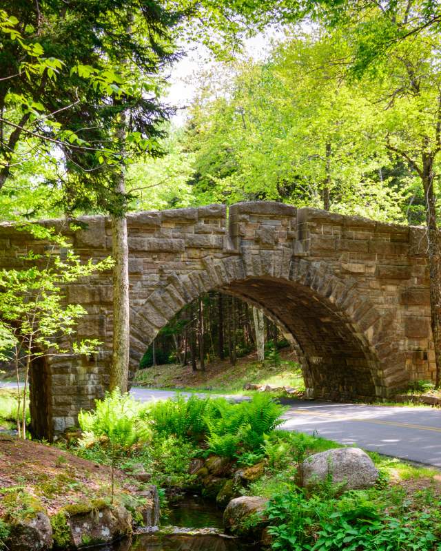 Carriage Roads, cropped