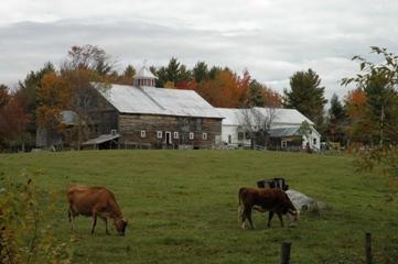 Morrill Farm