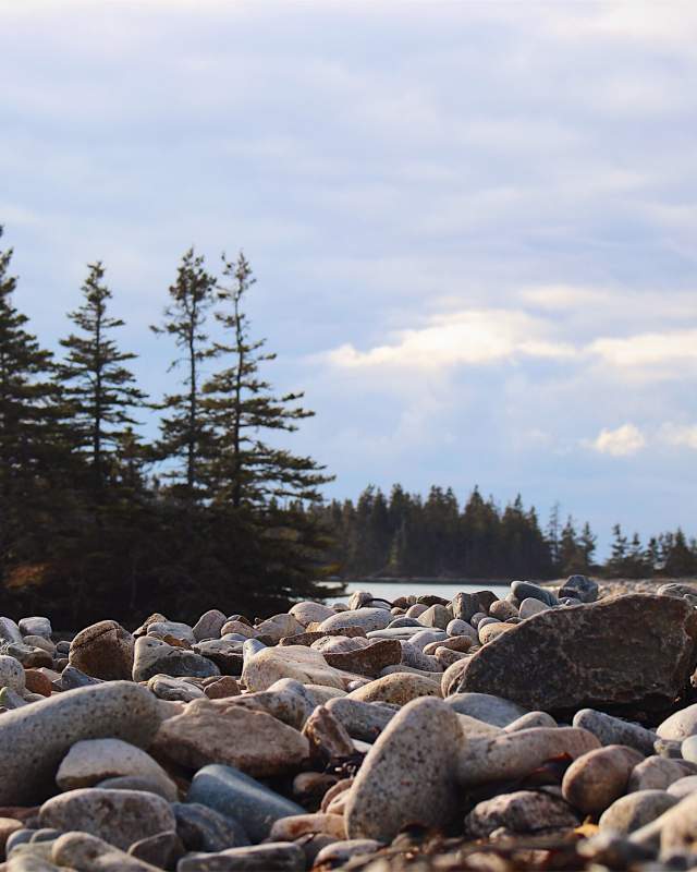 Schoodic Point