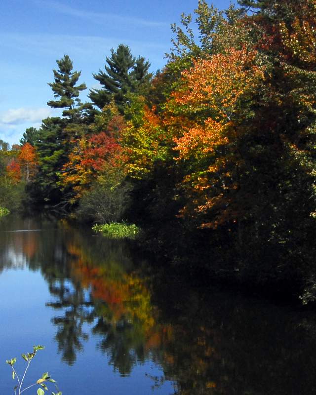 River in the Fall